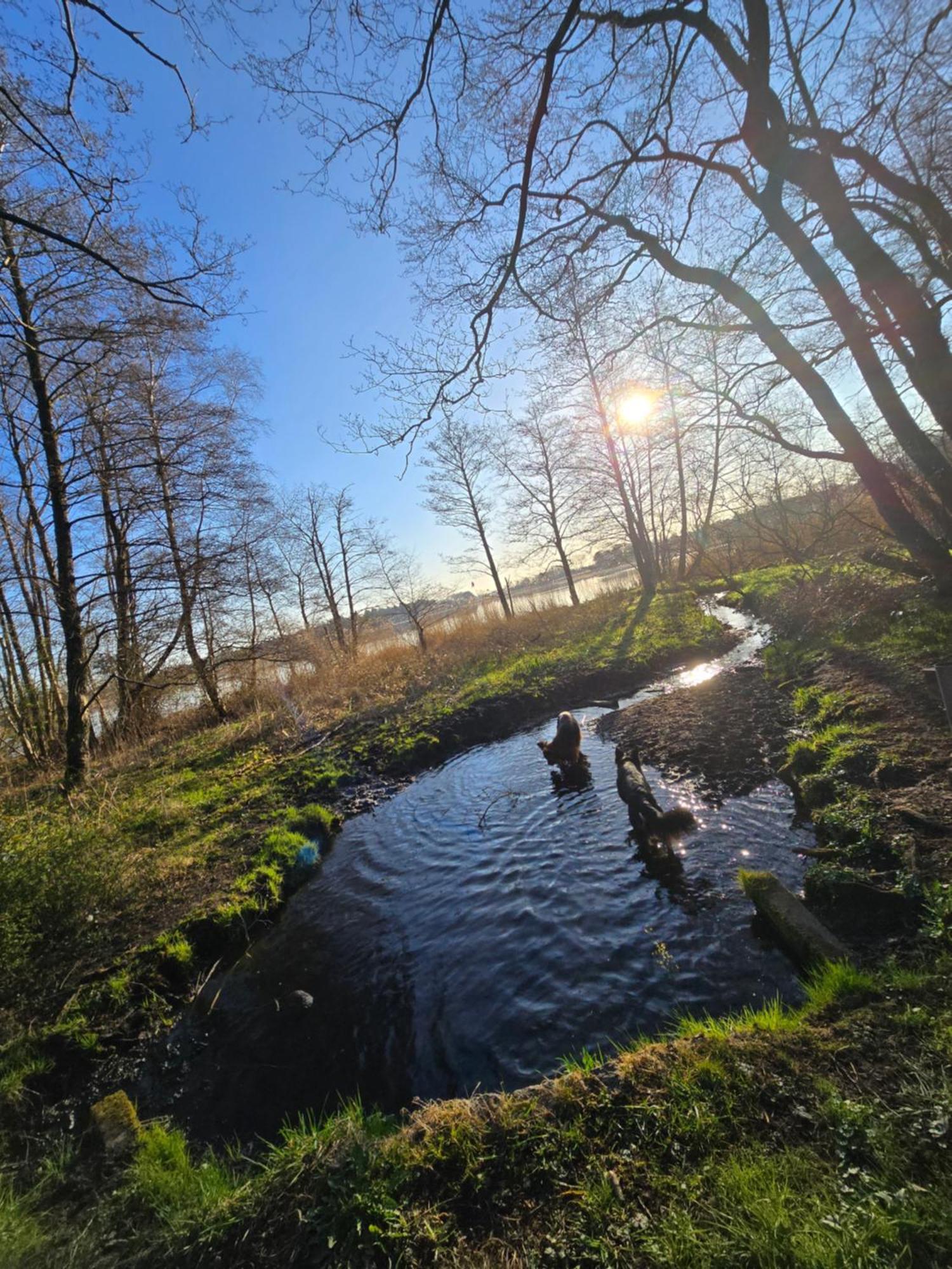 Fewo "Luett Stuv" Fockbek Esterno foto